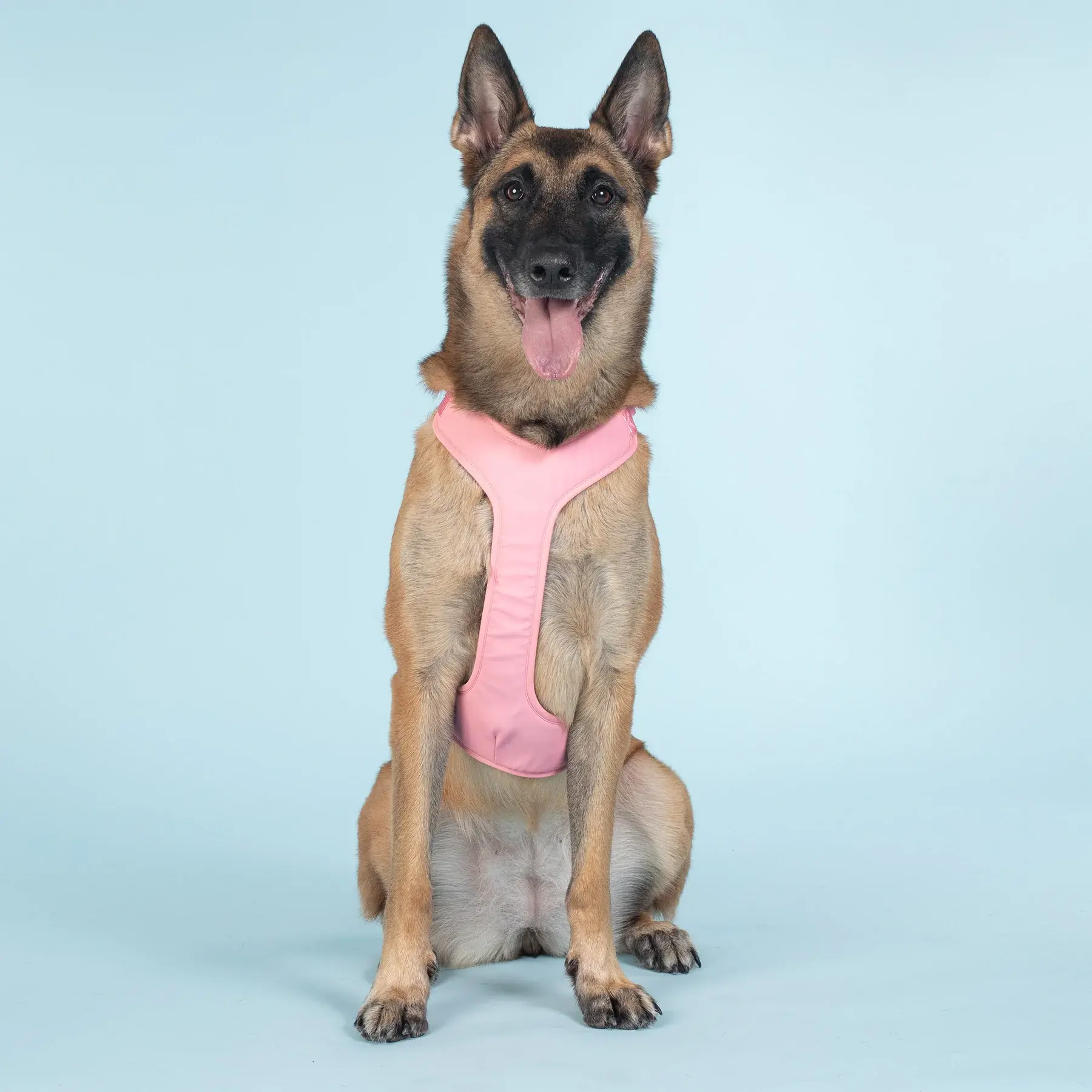 Visibility Harness Pink