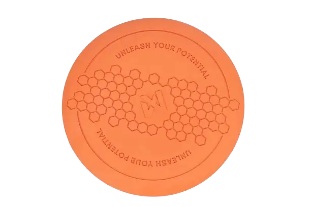 Dog flying disc one size Orange/black