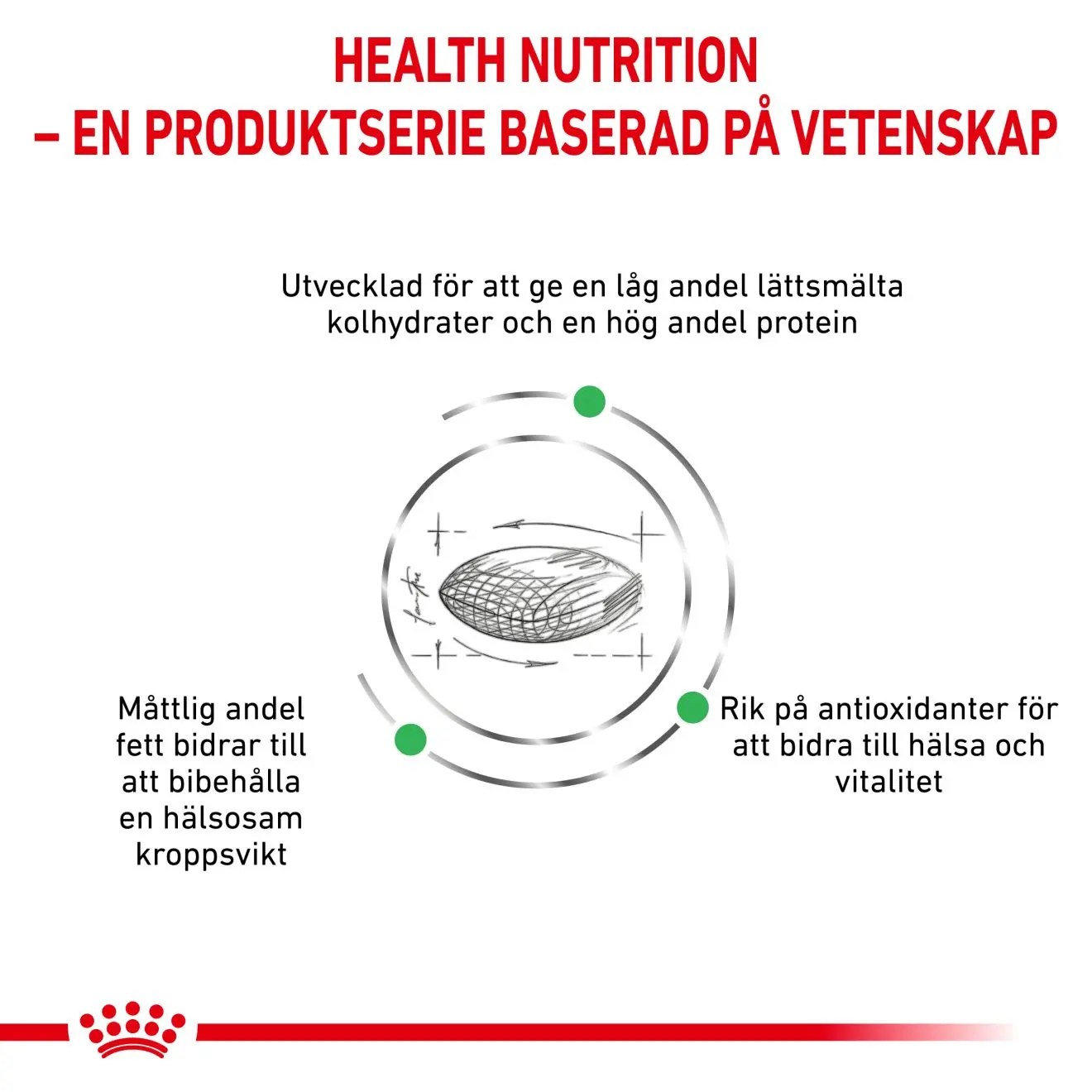 Weight Management Diabetic kissan kuivaruoka