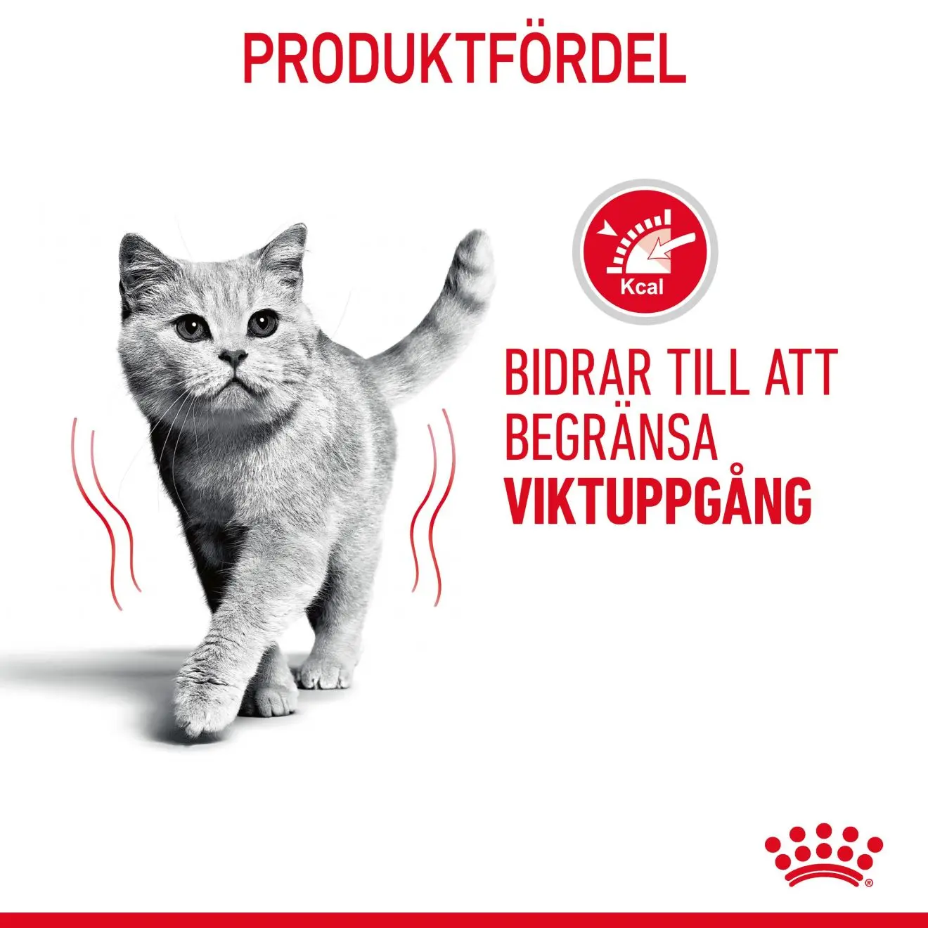 FCN Ultra Light Gravy Adult kissan märkäruoka