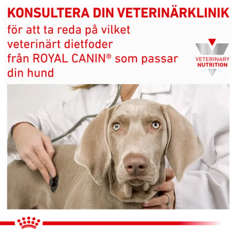 Derma Sensitivity Control Duck Can märkäruoka koirille