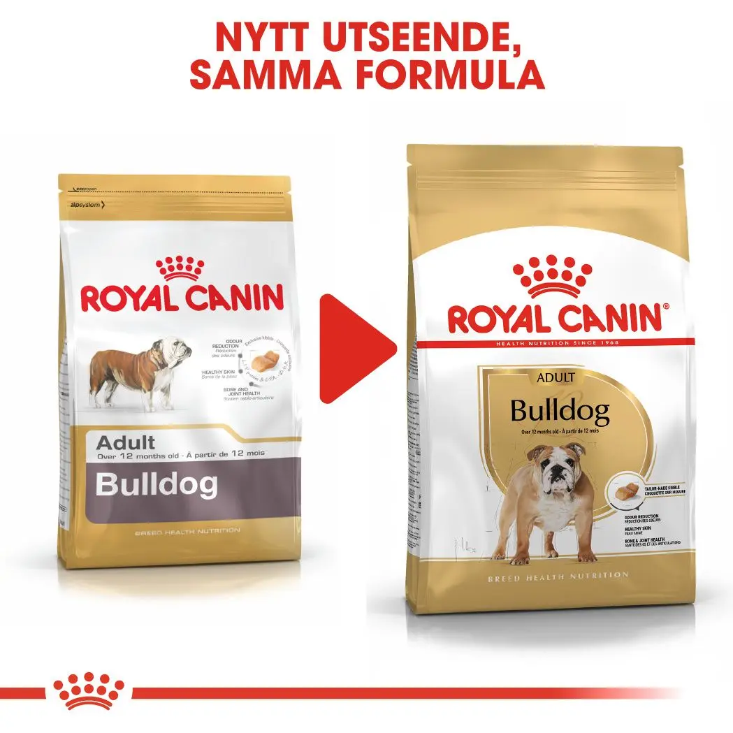 Bulldog Adult Dry food koirille
