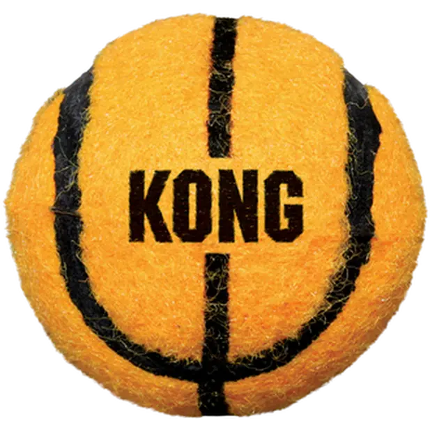 Sport Balls Dog Toy