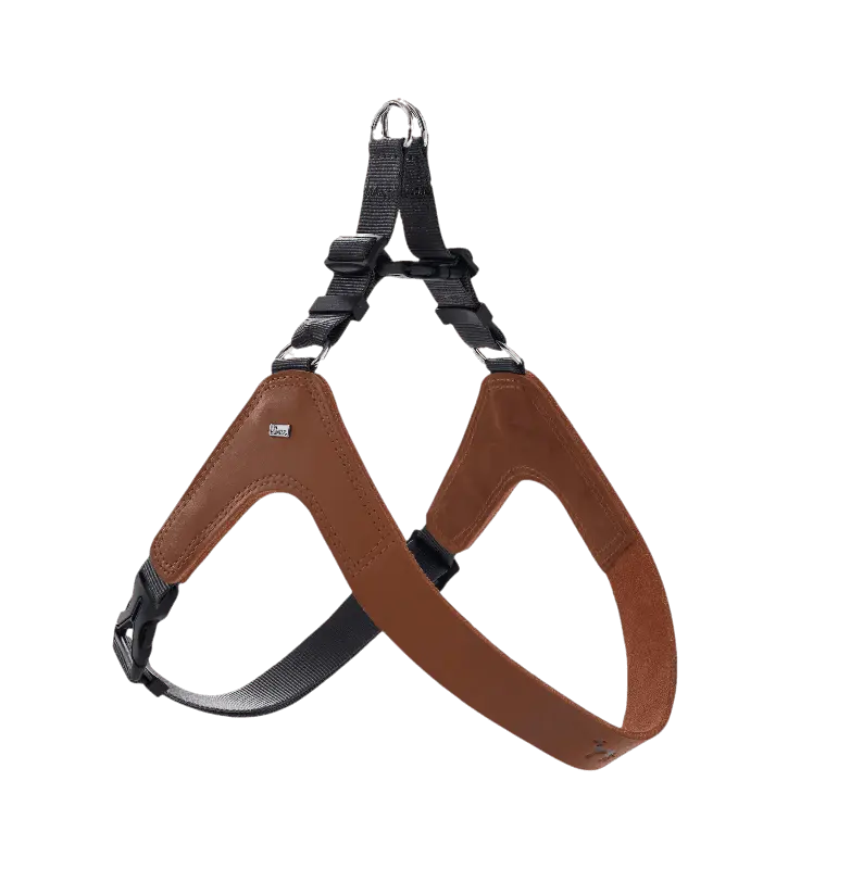 Hundesele Dimaro i kuskinn cognac S-M Bryst 48-69cm