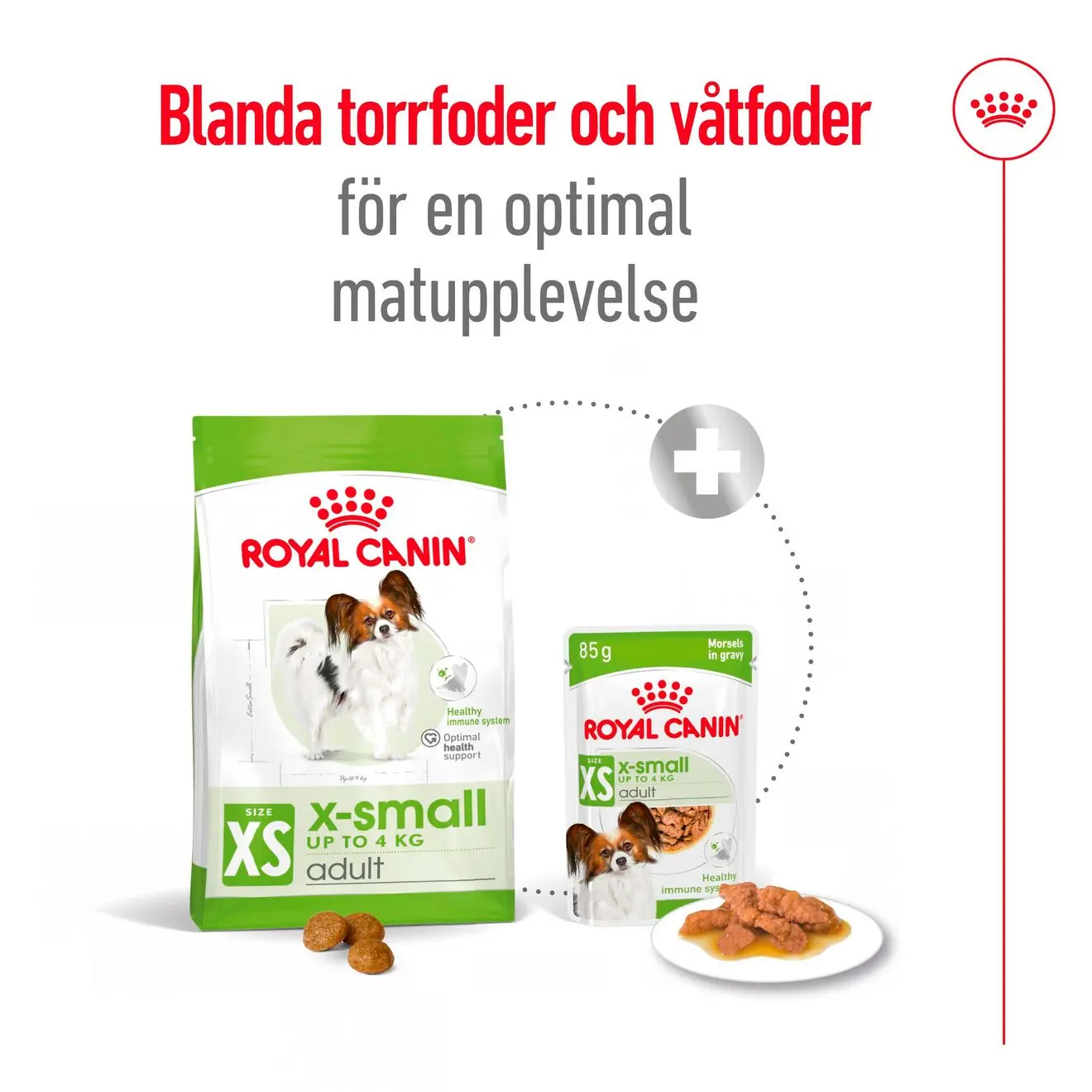 X-Small Adult Dry food koirille