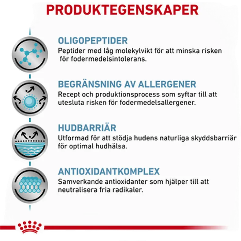 Anallergenic kuivaruoka koirille - ruoka-aineallergiaan
