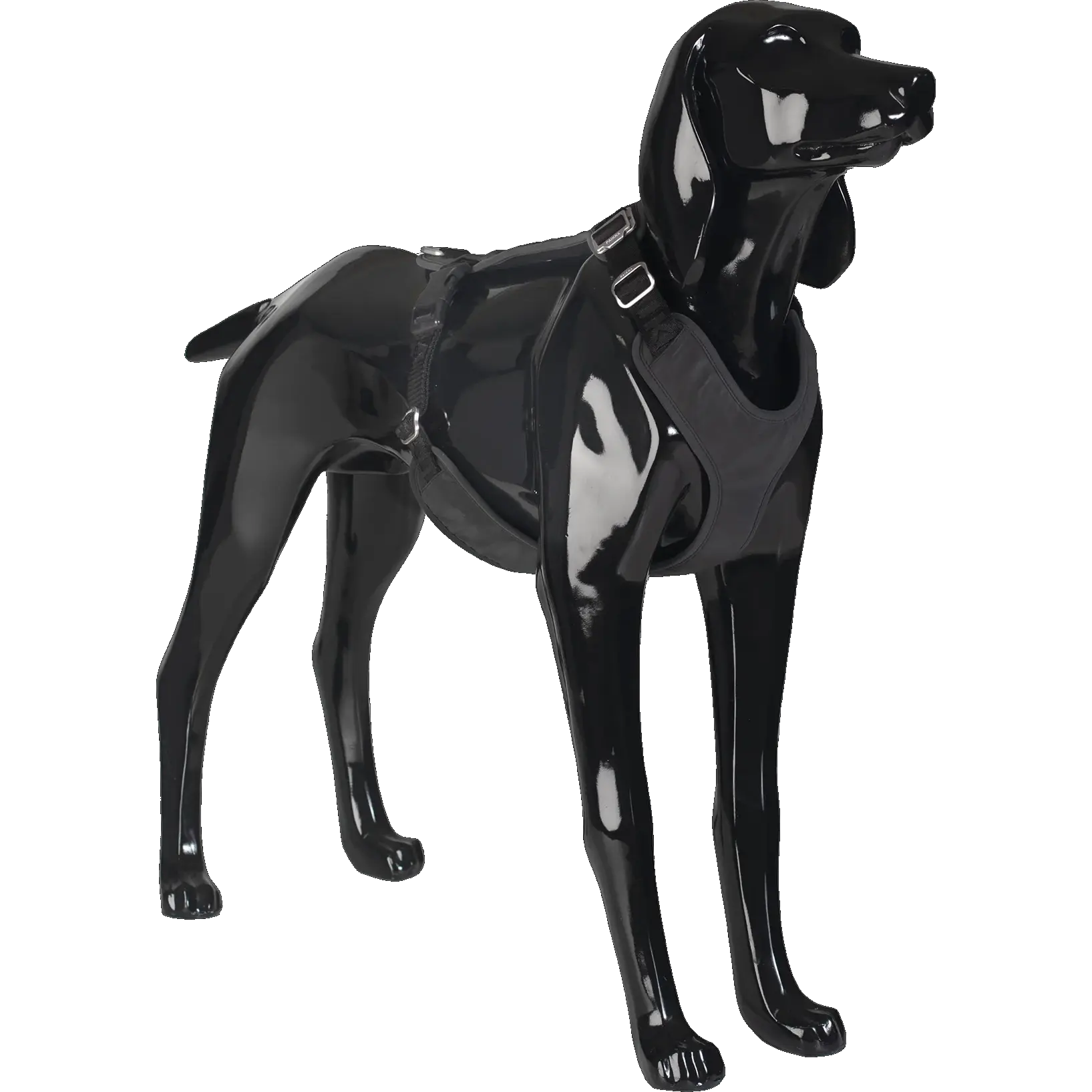 Visibility Harness Pink