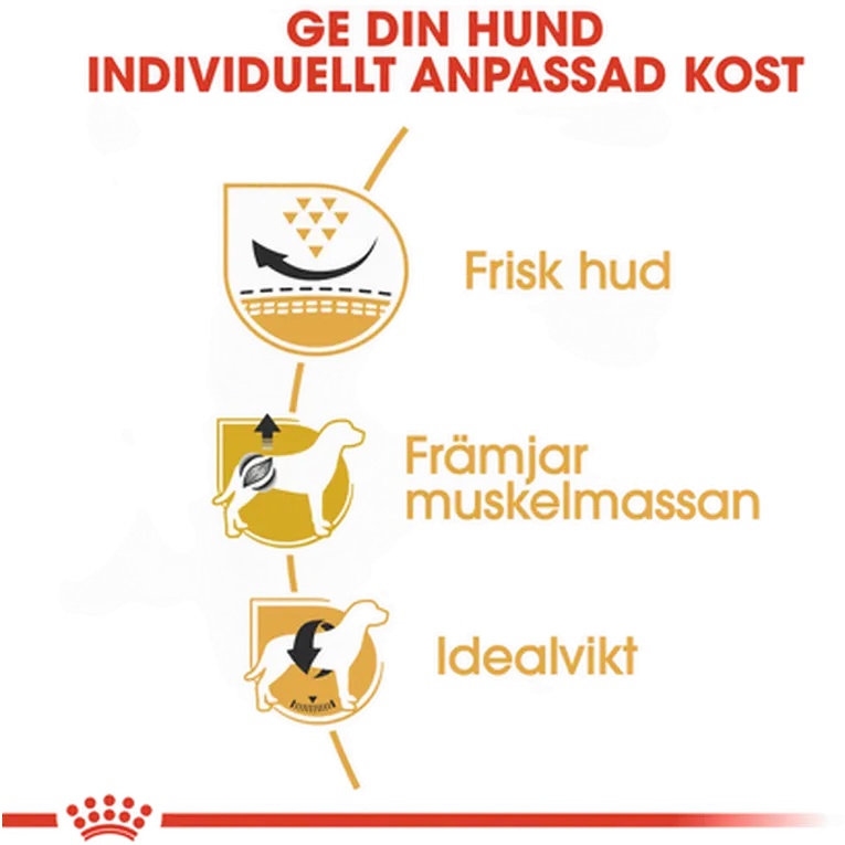 Pug Adult Torrfoder för hund