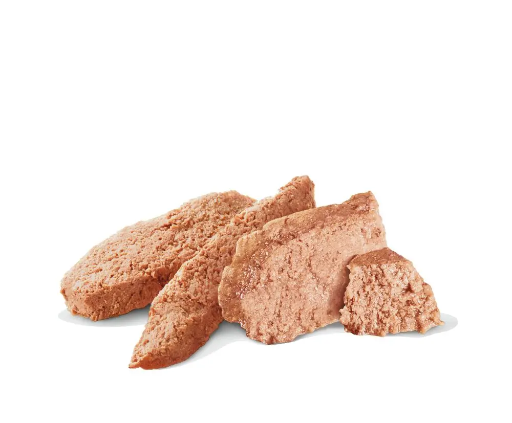 Gastrointestinal Loaf Märkäruoka koirille