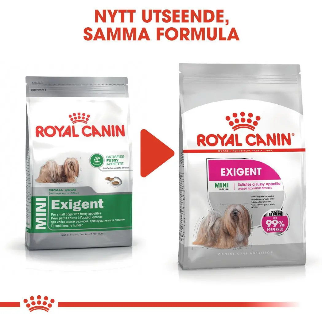 Koko Mini Exigent Kuivaruoka koirille