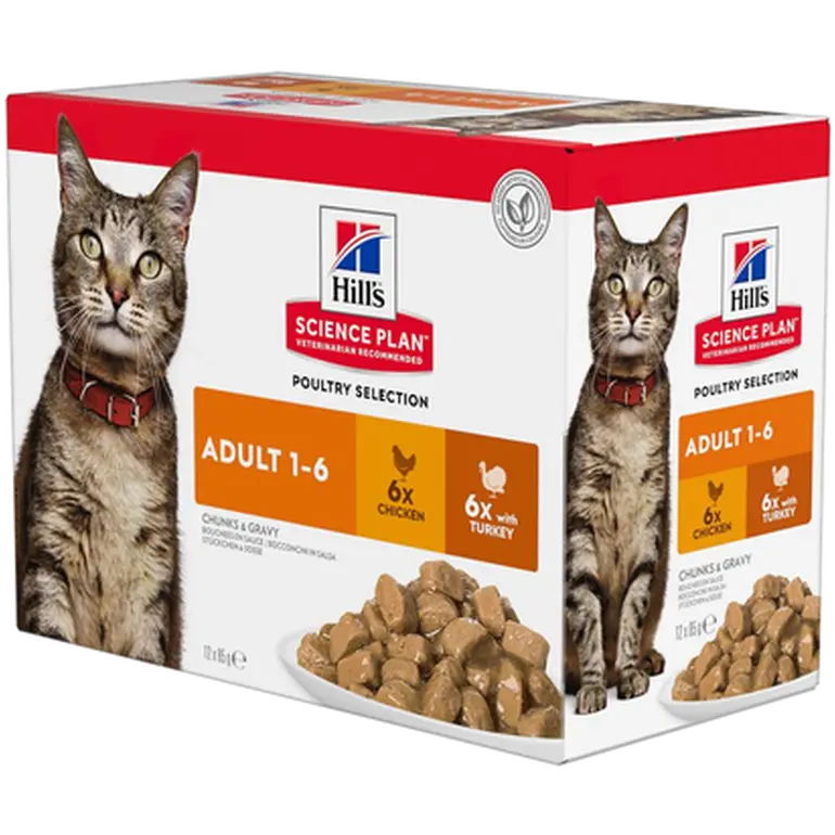 Adult Chicken Turkey Pouch - Wet Cat Food 12 x 85 g - Pouch