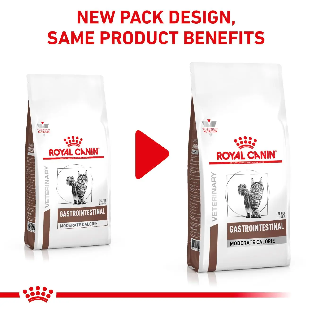 Gastrointestinal Moderate Calorie Torrfoder för katt