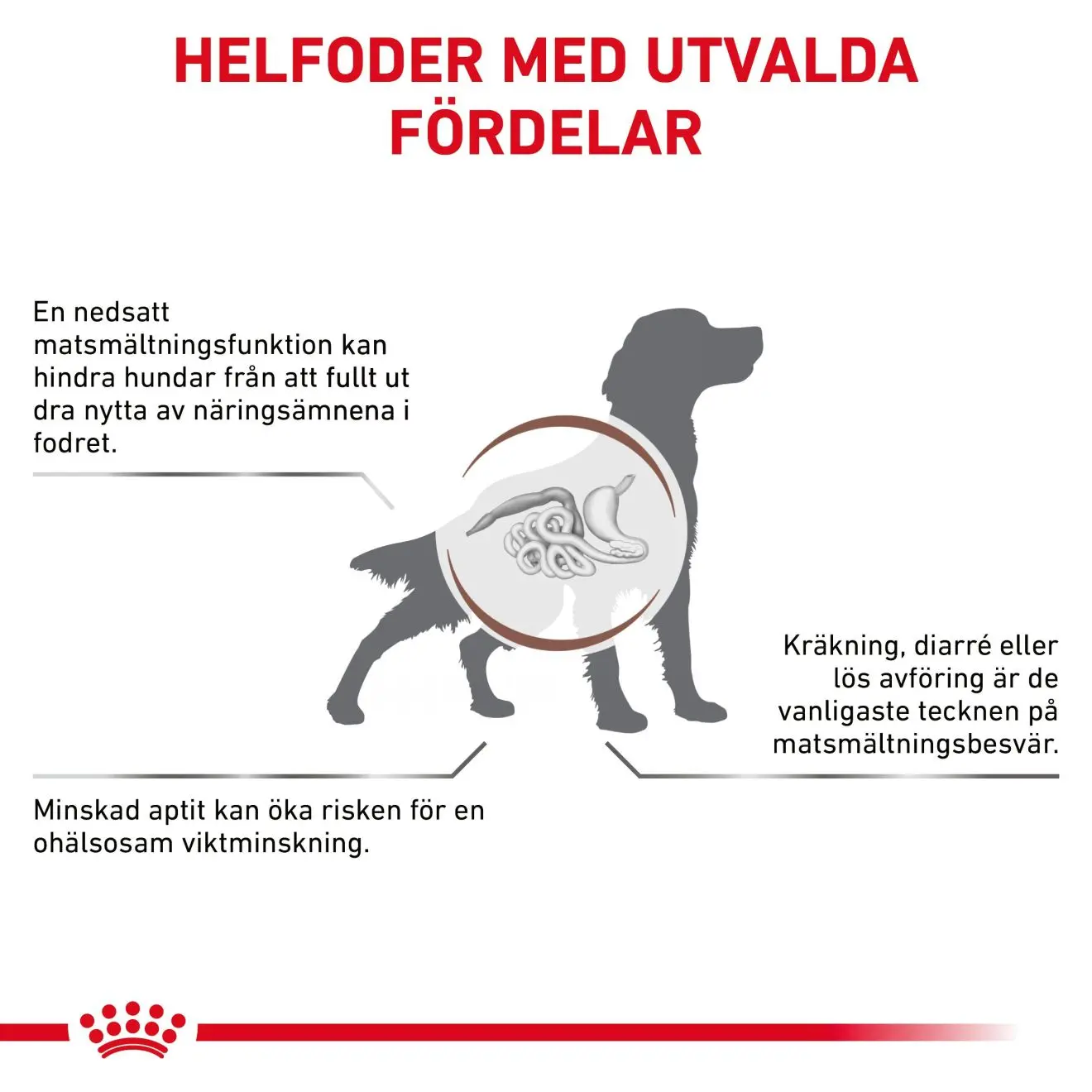 Gastrointestinal Torrfoder för hund
