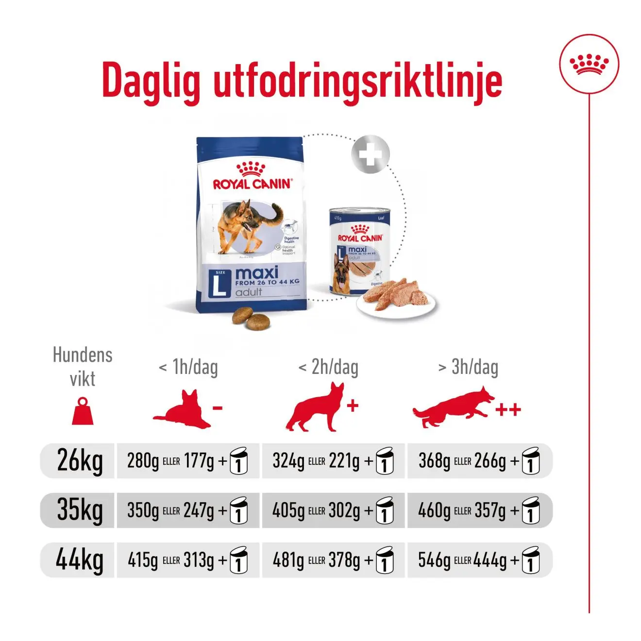 Maxi Adult kuivaruoka aikuisille suurille koirille