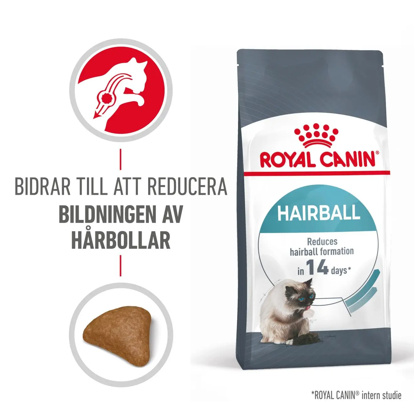 Hairball Care Adult kissan kuivaruoka