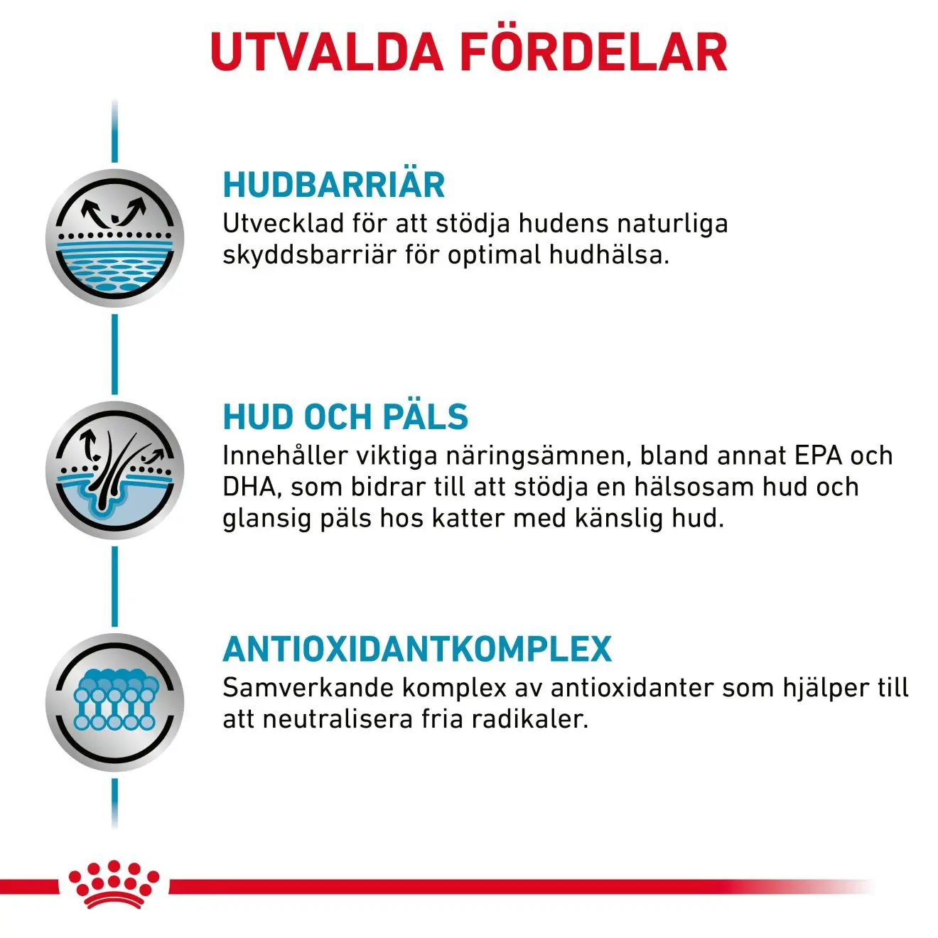 Derma Skin & Coat Pouch kissan märkäruoka