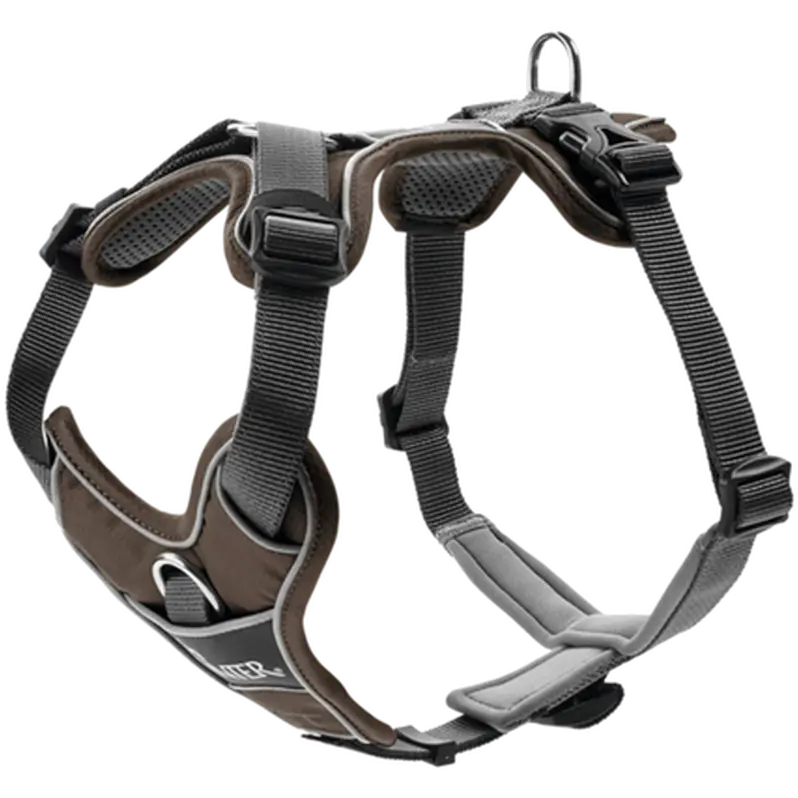 Hundsele Divo Brun/Grå XS Bröstmått 34-47cm