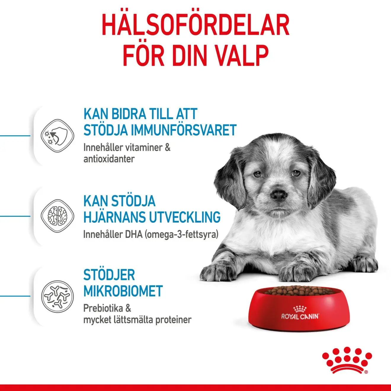 Medium Puppy Kuivaruoka pennuille