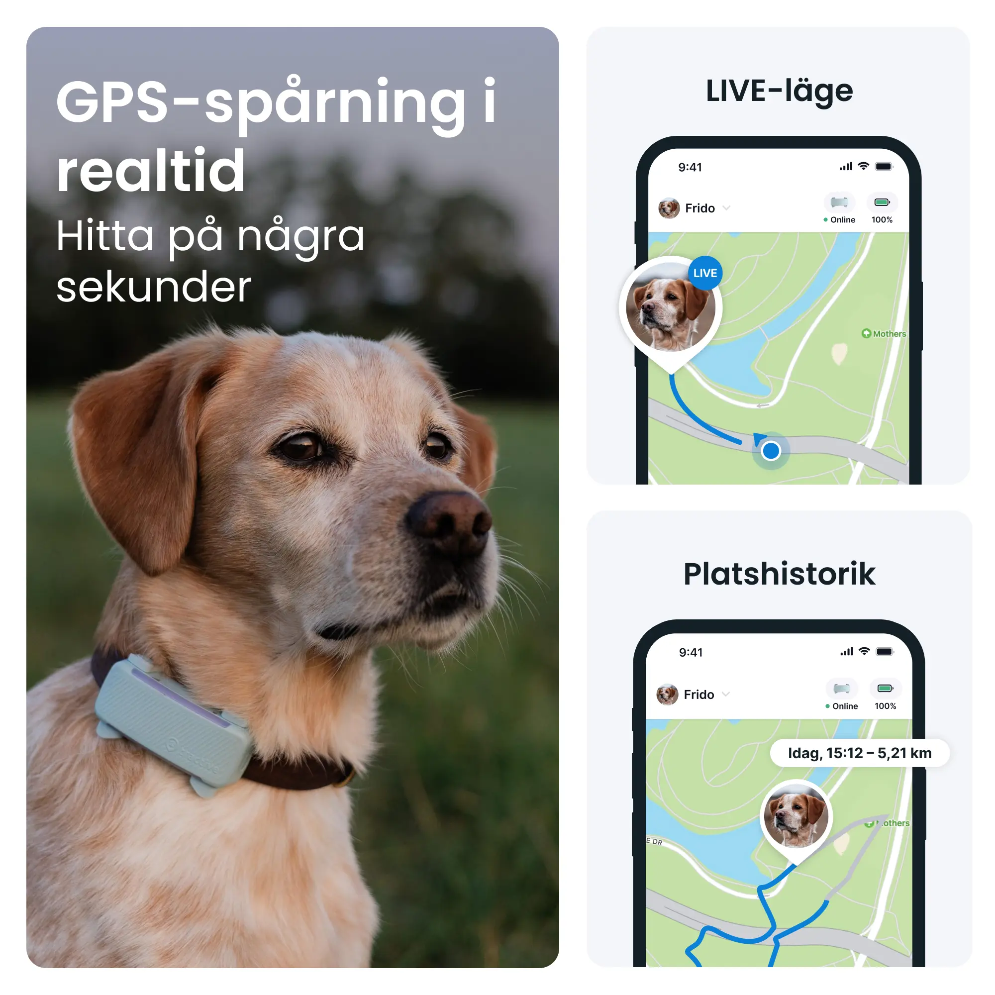 GPS-paikannin koiralle Koira 6 - Minttu