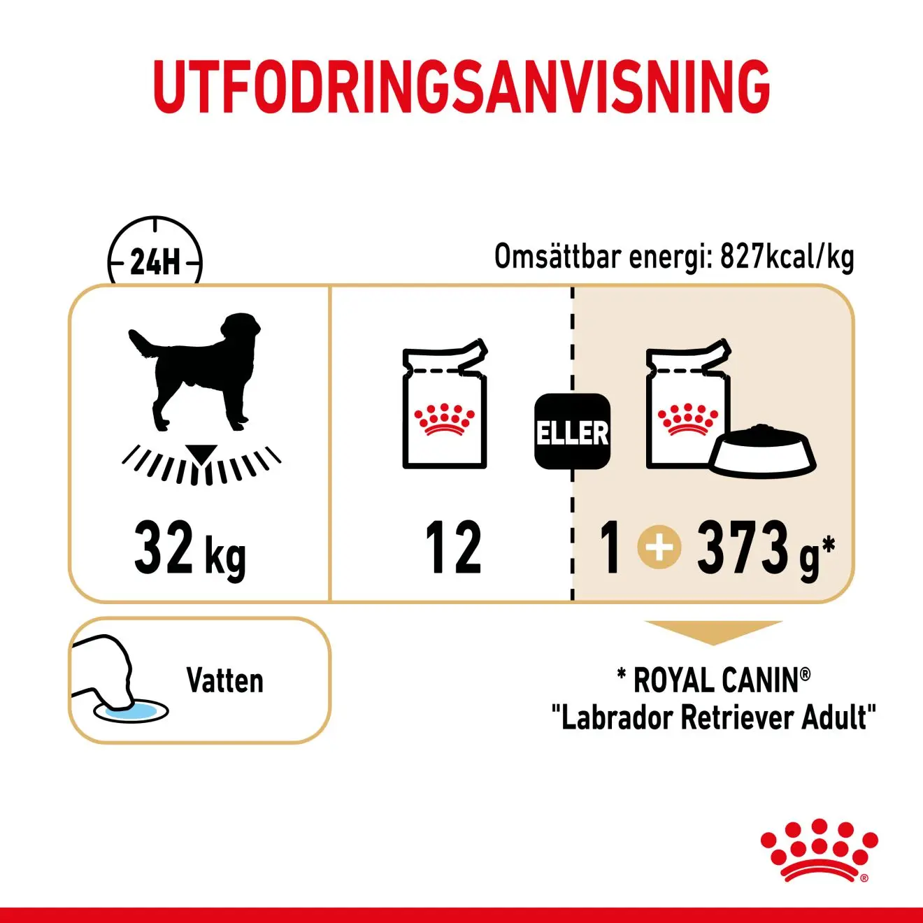 Labrador Retriever Adult Gravy