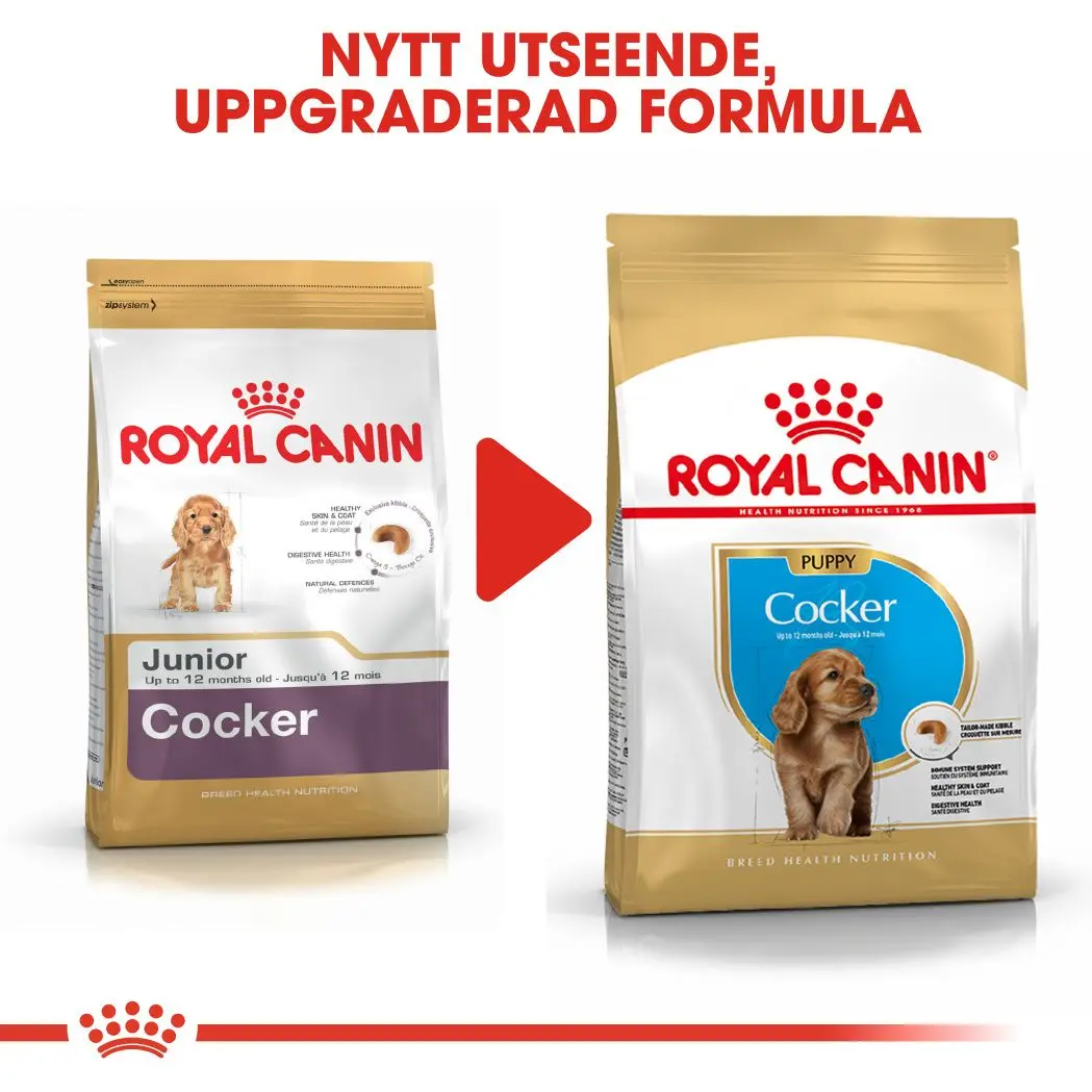 Cocker Spaniel Puppy Kuivaruoka pennuille