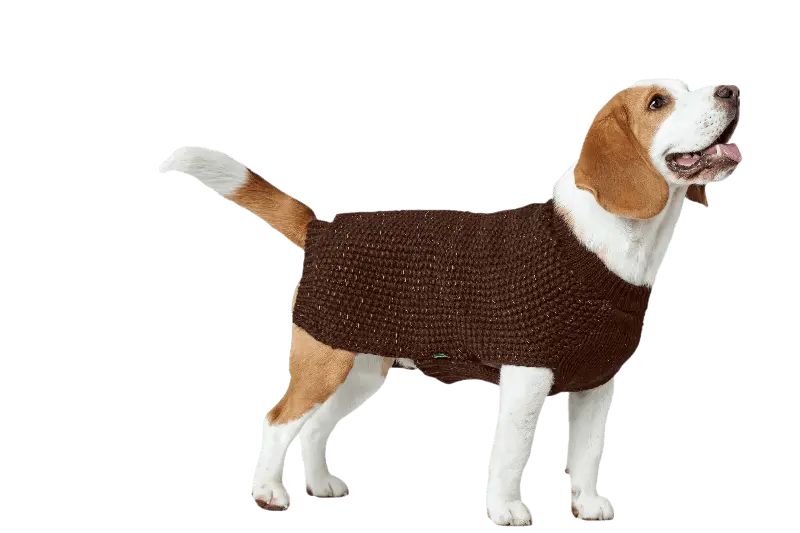 Pullover Finja - Reflekterande Hundtröja Brun