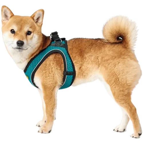 Dog Harness Comfort Hilo Gray