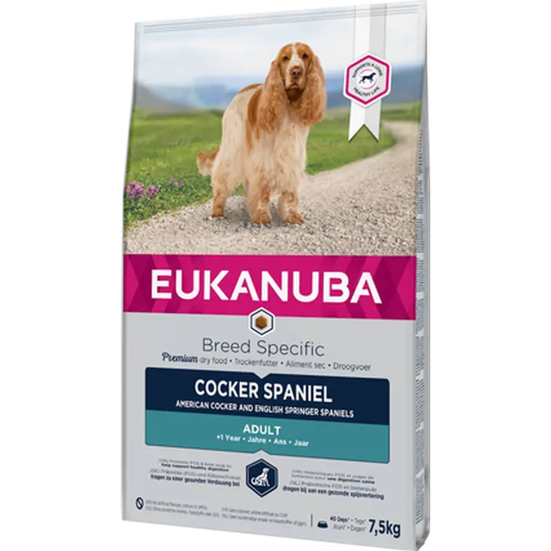 Dog Breed Cocker Spaniel 7,5 kg