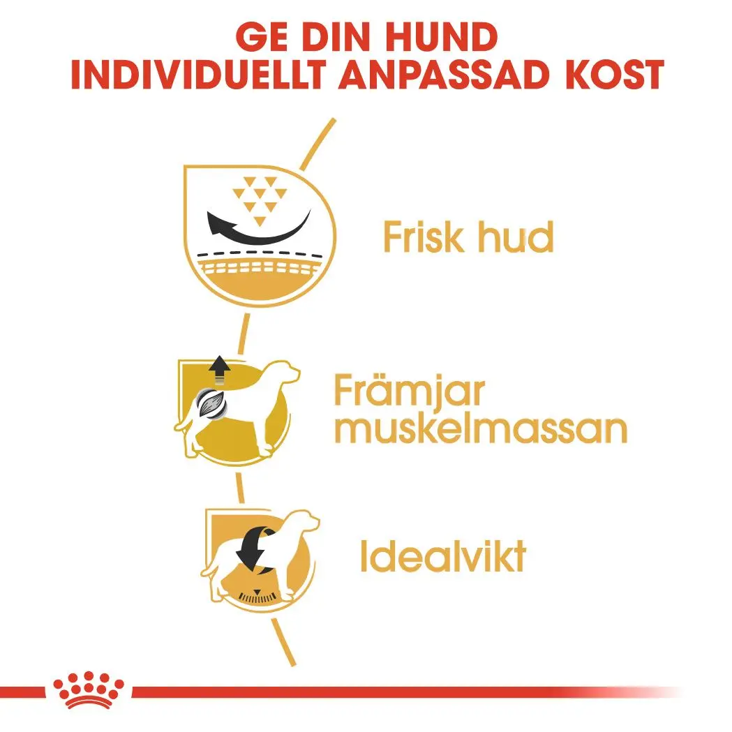 Pug Adult Torrfoder för hund