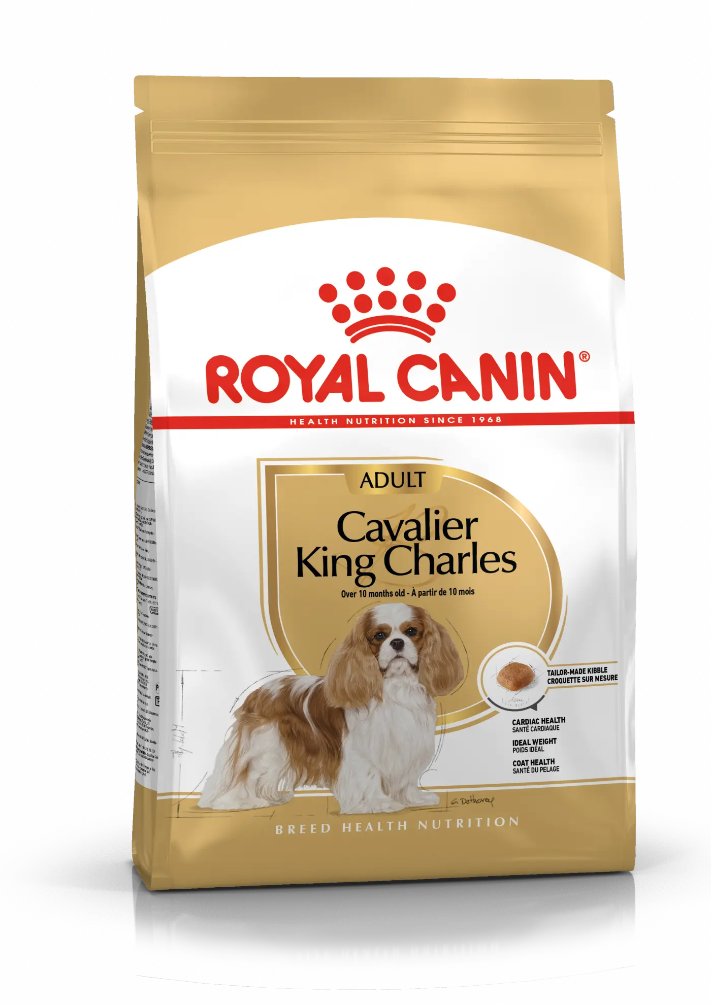 Cavalier King Charles Adult Kuivaruoka koirille