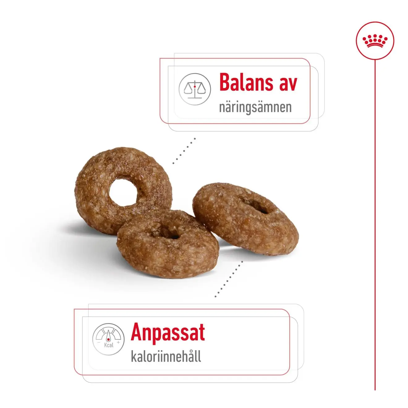 Mini Ageing 12+ Ageing Kuivaruoka koirille