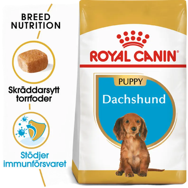 Dachshund Puppy Kuivaruoka pennuille