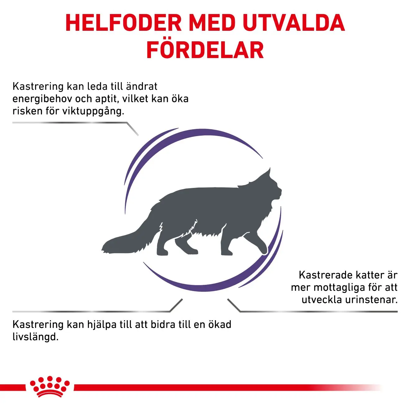 Neutered Satiety Balance Torrfoder för katt