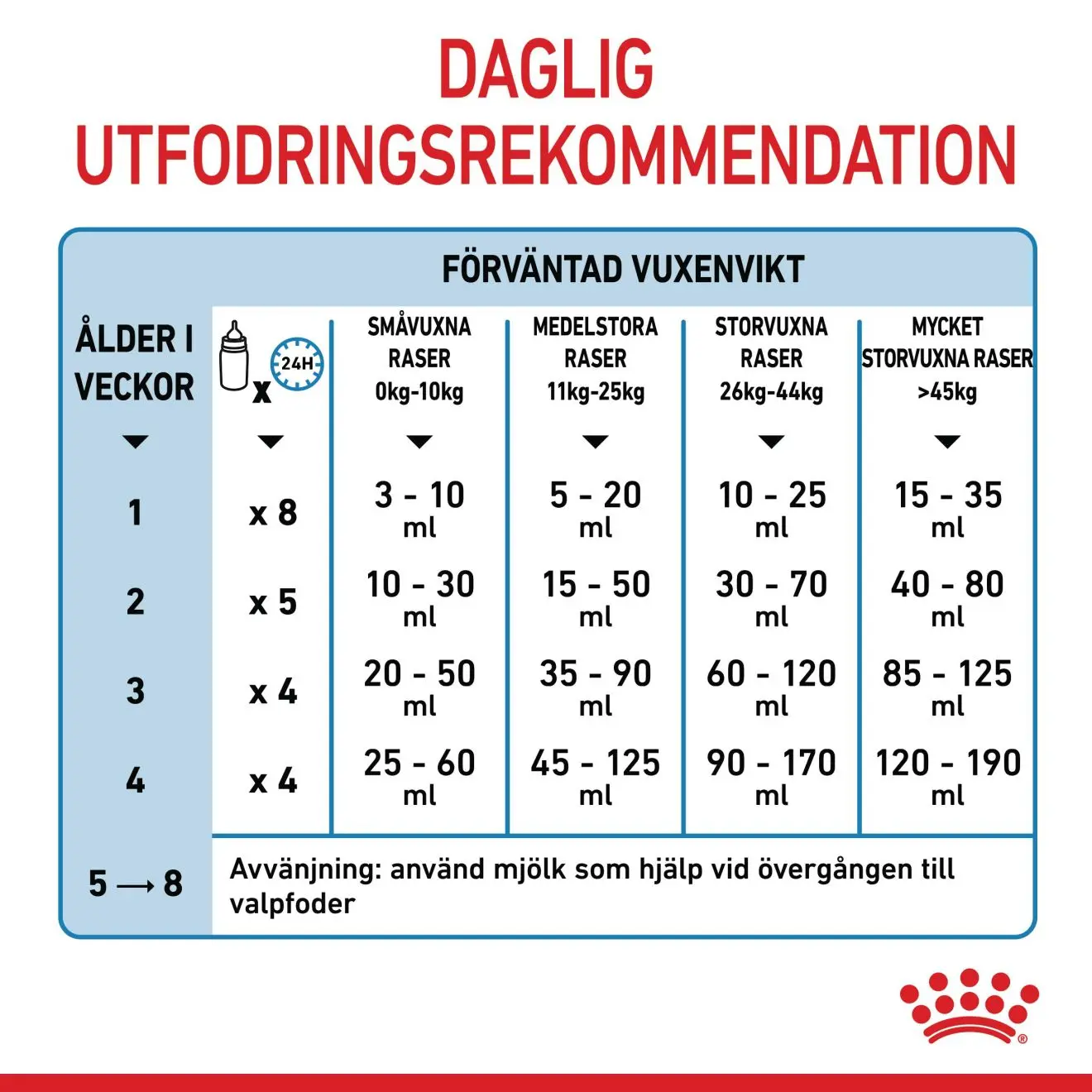 Babydog Milk Starter Formula koirille
