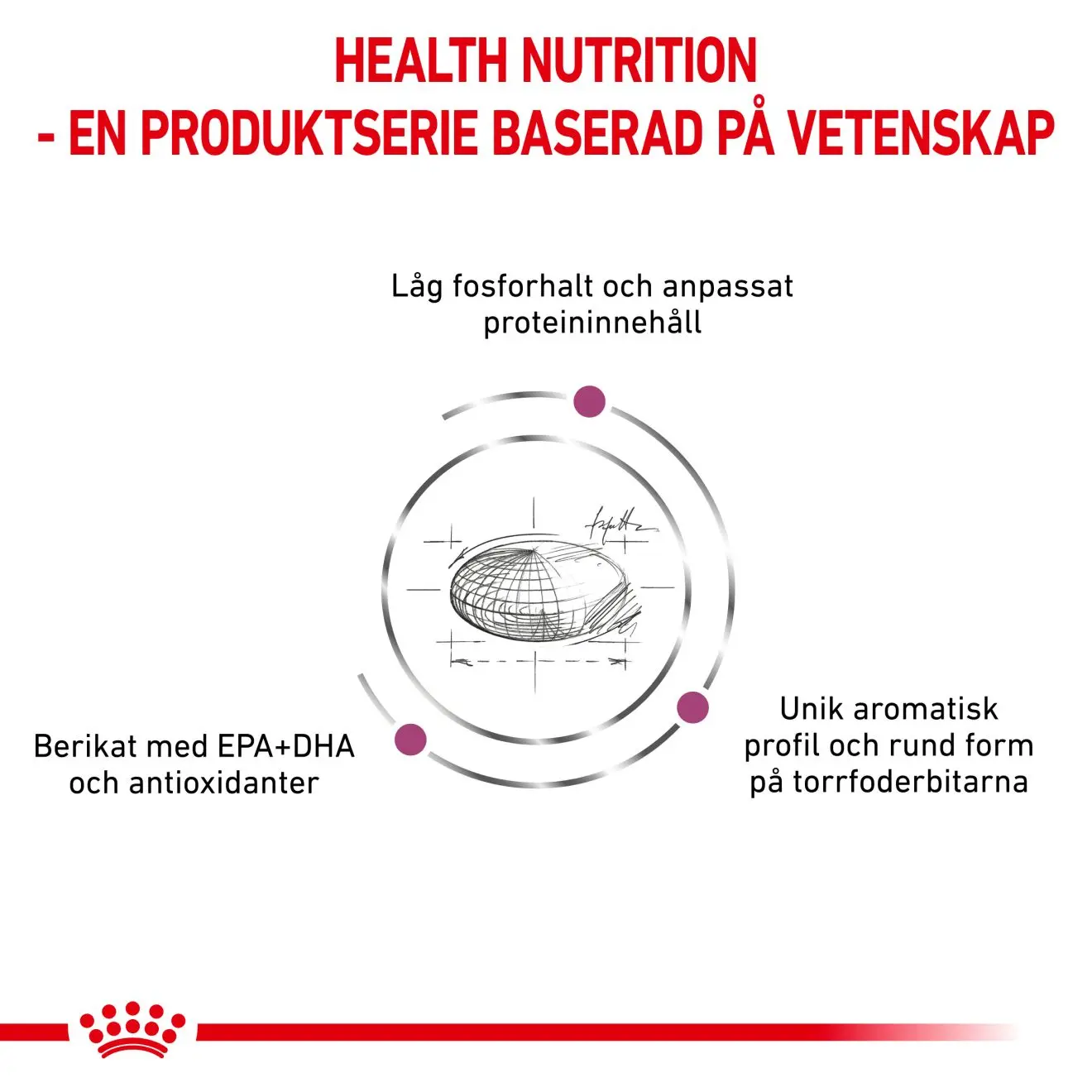 Renal Torrfoder för katt