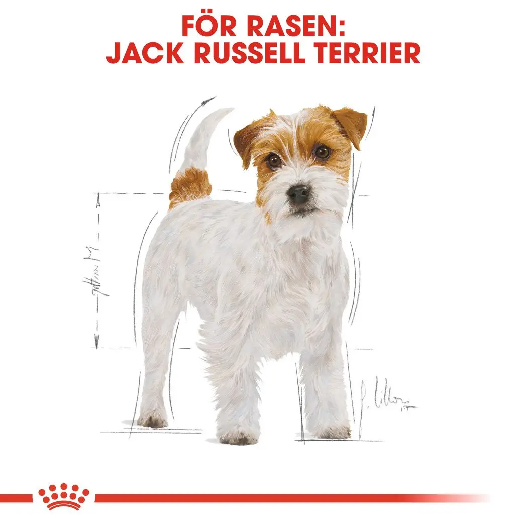 Jack Russel Adult Kuivaruoka koirille