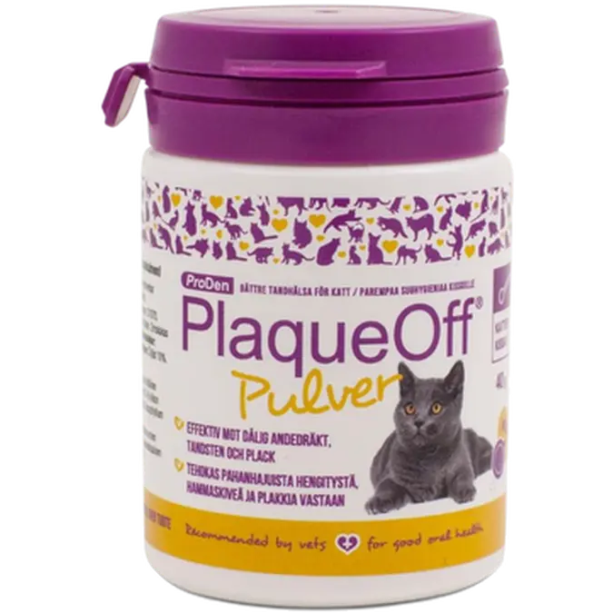 Powder Cat