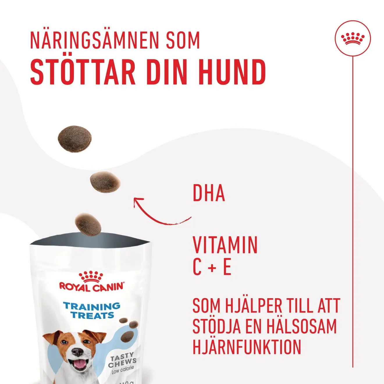 Royal Canin Training Treats – træningsgodbidder til hunde fra 6 mdr.