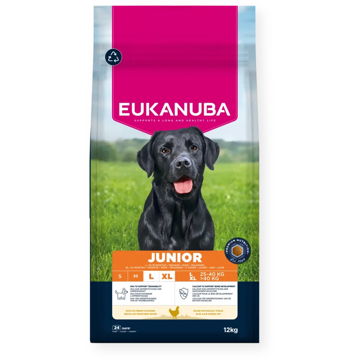 Dog Junior Large Breed Kyckling 12 kg