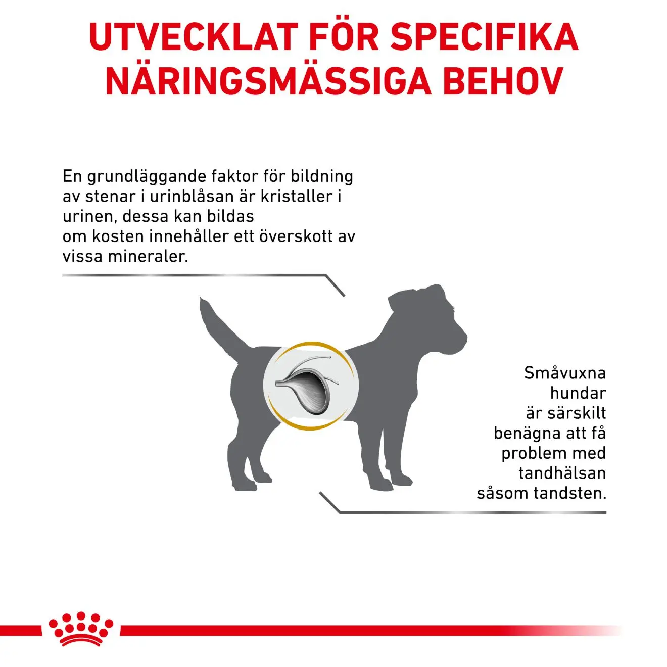 Urinary S/O Small Dog Kuivaruoka koirille
