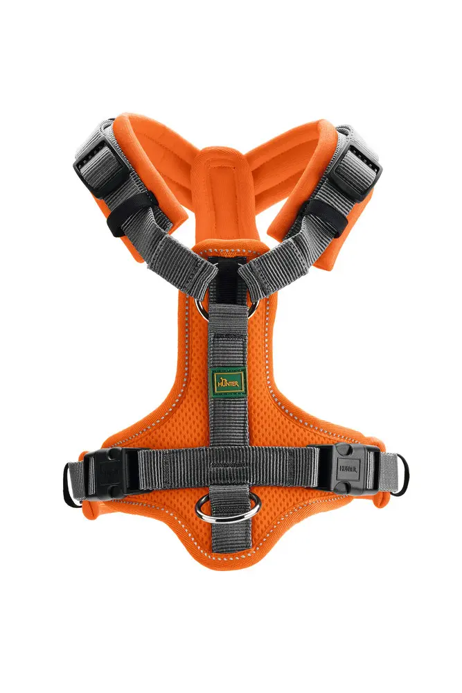 Harness Maldon Up Polyester orange/grey