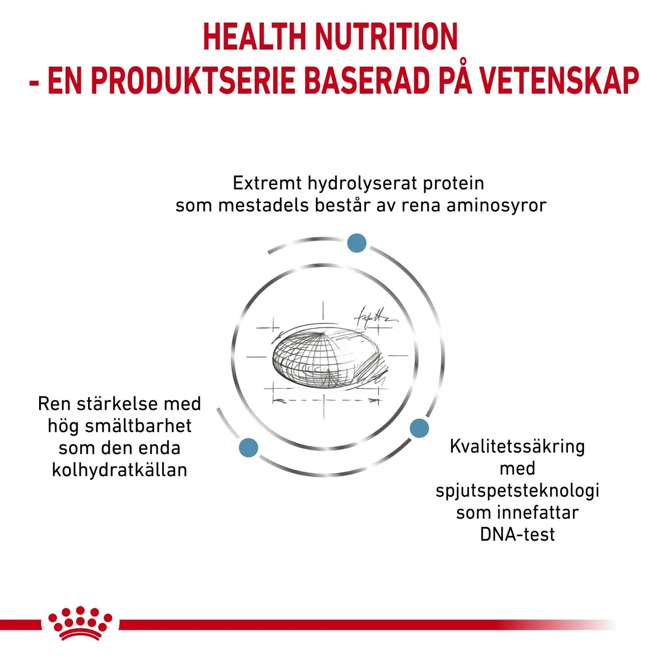 Anallergenic kuivaruoka koirille - ruoka-aineallergiaan