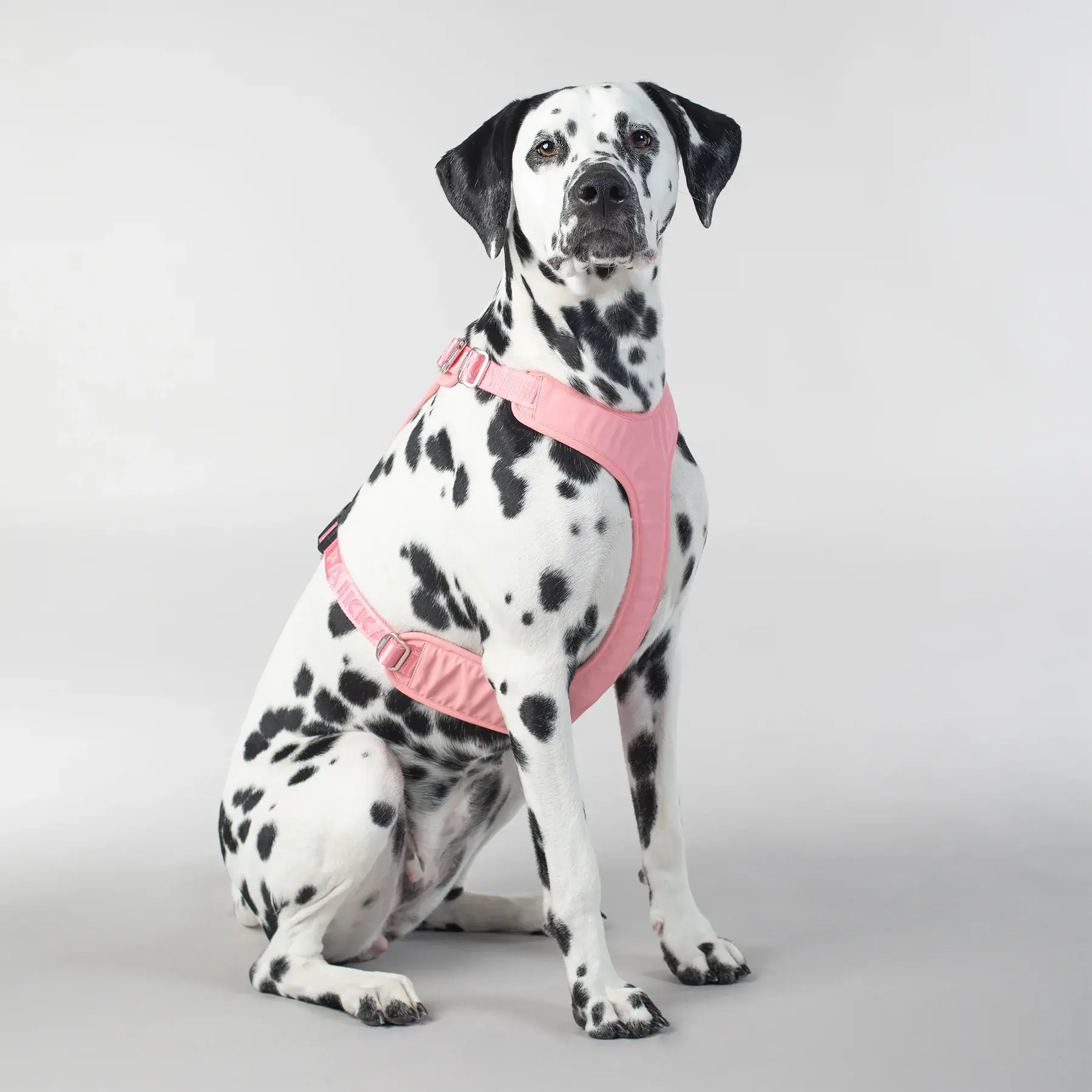 Visibility Harness Pink