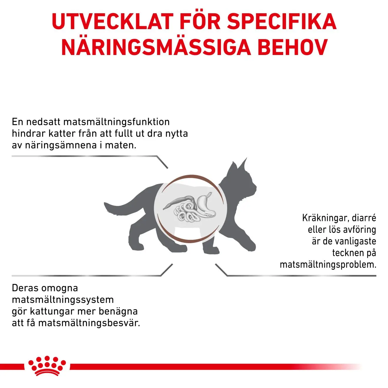 Gastro Intestinal Kitten kissan kuivaruoka
