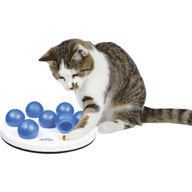 Cat Activity Solitaire Strategy Game