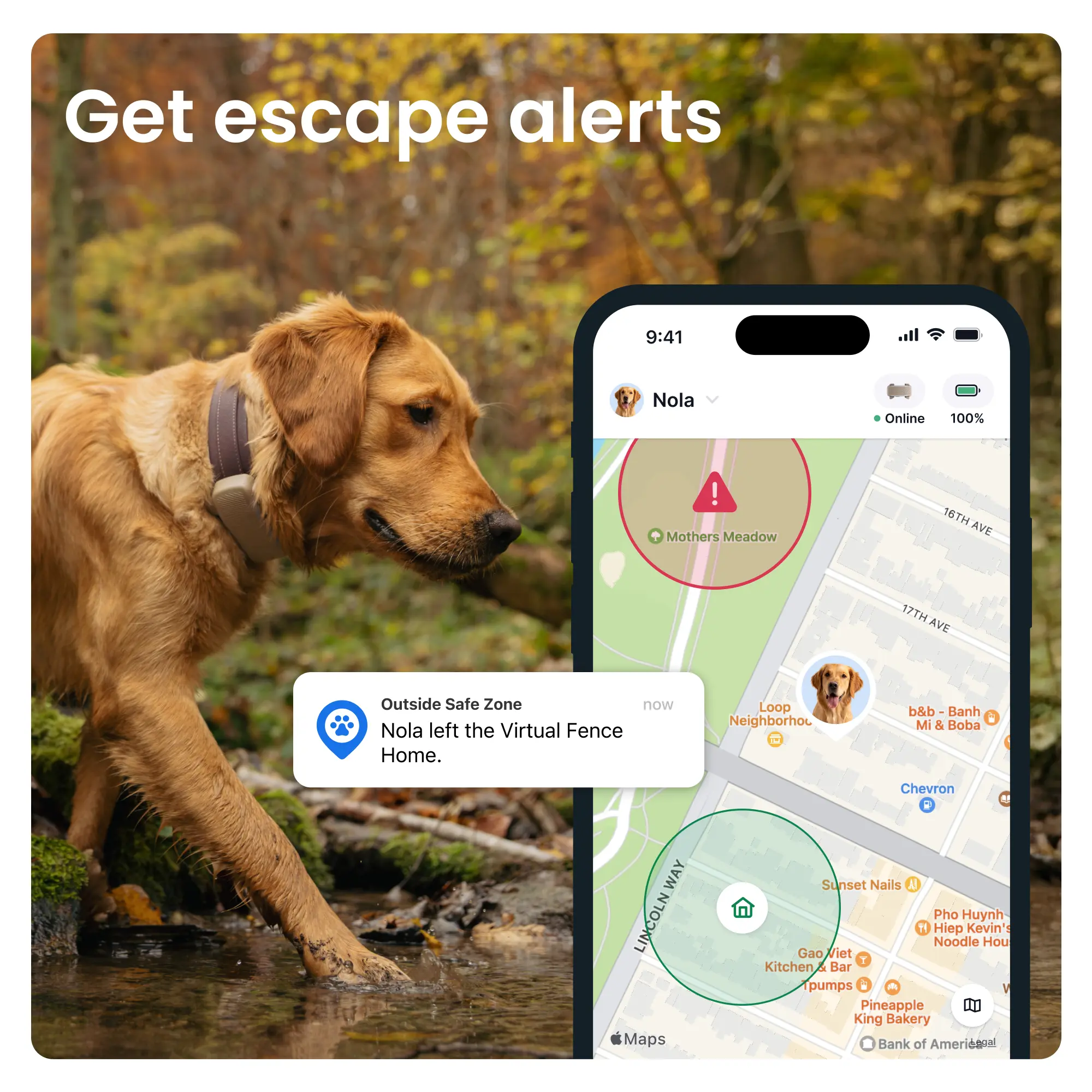 Tractive DOG 6 XL GPS-tracker för hund över 20 kg Brun