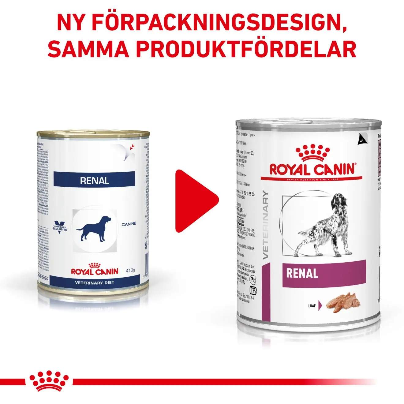 Renal Märkäruoka koirille