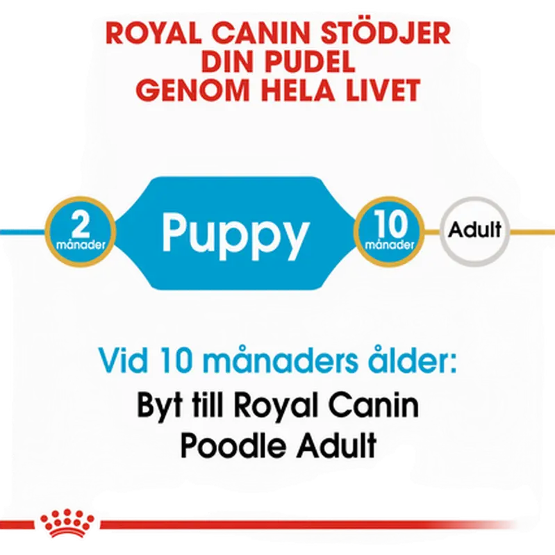 Poodle Puppy Kuivaruoka pennuille