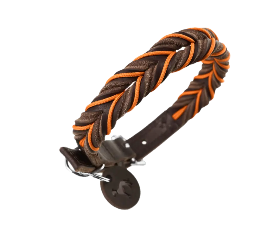 Hundhalsband Solid Education Cord Orange/Mörkbrun