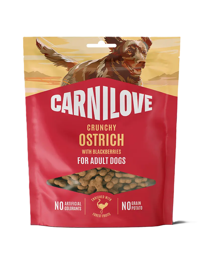 Dog Crunchy Snack Struts med bjørnebær 200 g